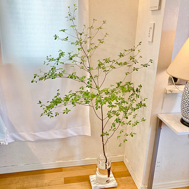 bonobono54さんの実例写真