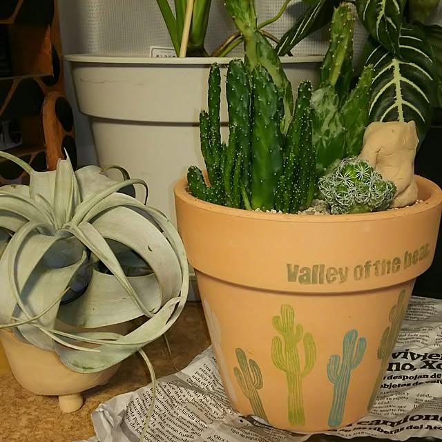 valley-of-the-bearさんの実例写真