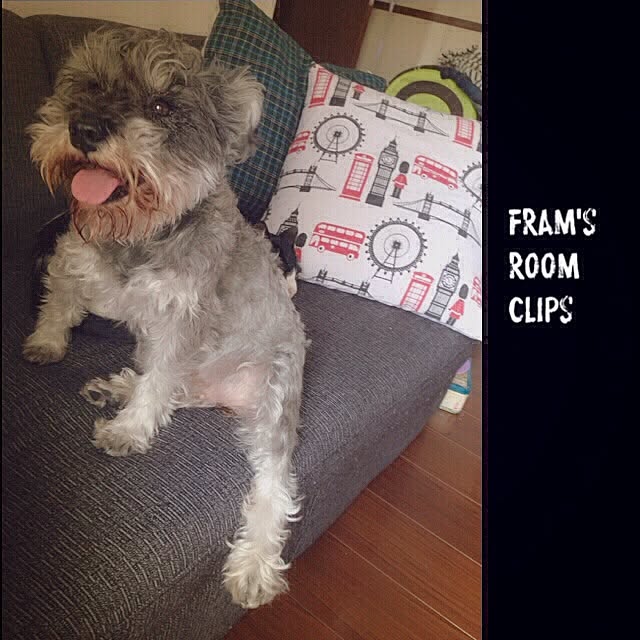 framさんの実例写真