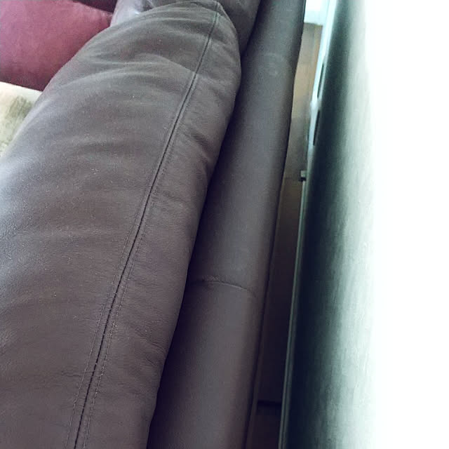 Renさんの実例写真