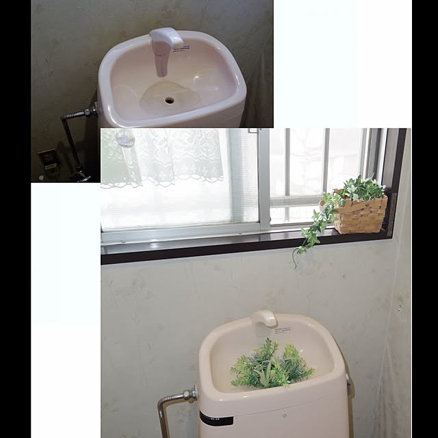 acoさんの実例写真