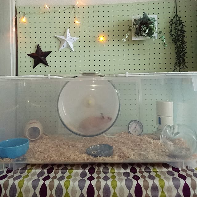 mieさんの実例写真
