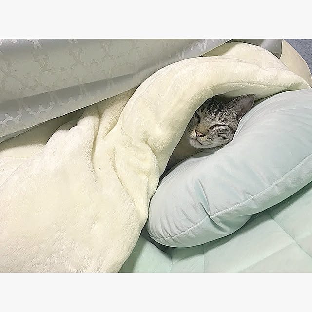 chieさんの実例写真