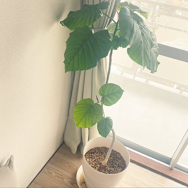 yusumi1425さんの実例写真