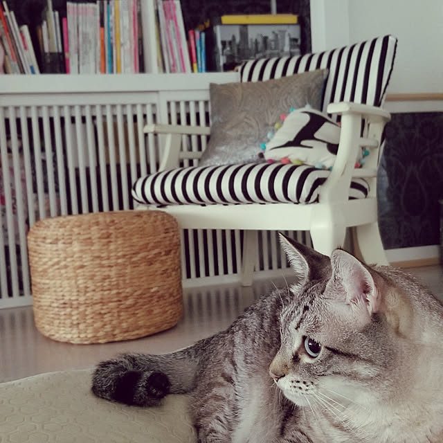 neoさんの実例写真