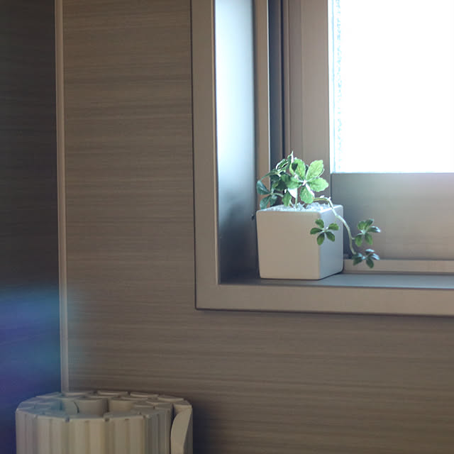 バス/トイレ/フェイクグリーン/マンションインテリア/ひとり暮らしのインテリア実例 - 2017-11-02 18:48:15