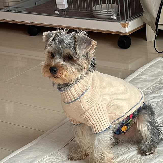 oceanさんの部屋