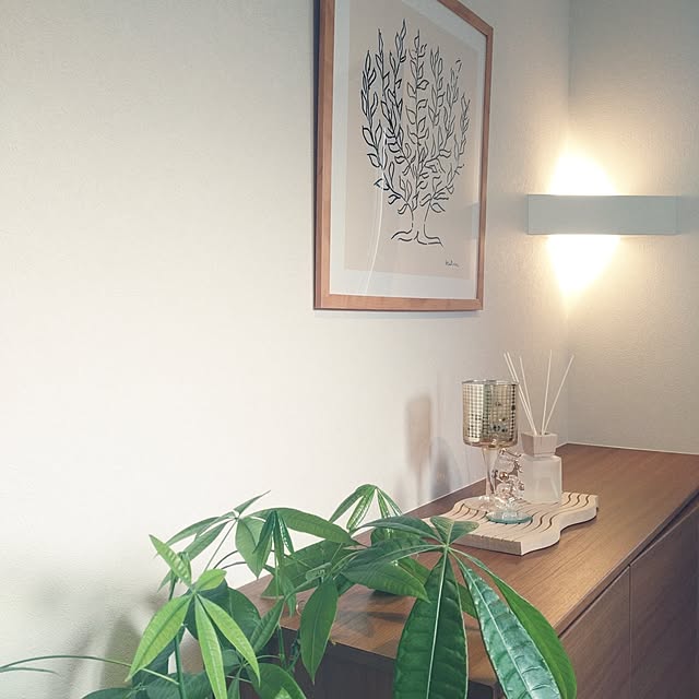 tan5さんの実例写真