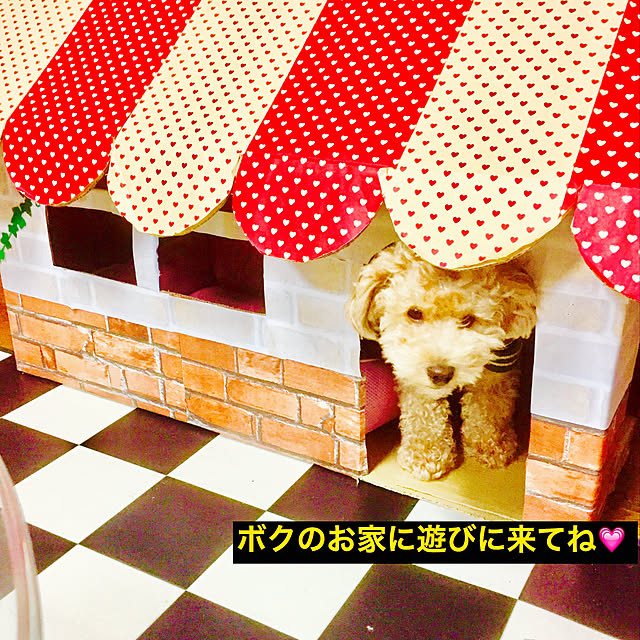 elmocoさんの実例写真