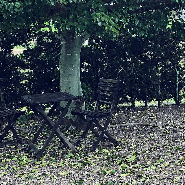 Kaeru-Mamaさんの実例写真