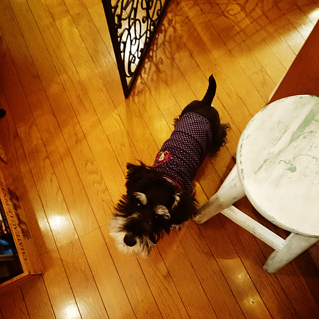 asaさんの実例写真