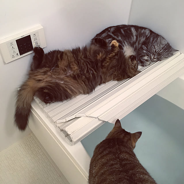 mikomaruさんの実例写真
