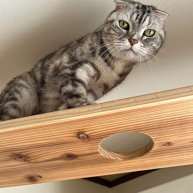 kuuさんの部屋