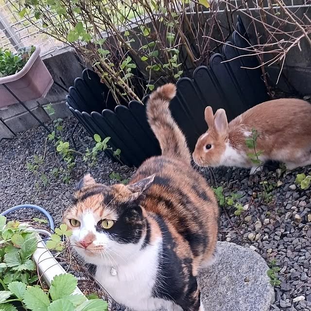 aiさんの部屋