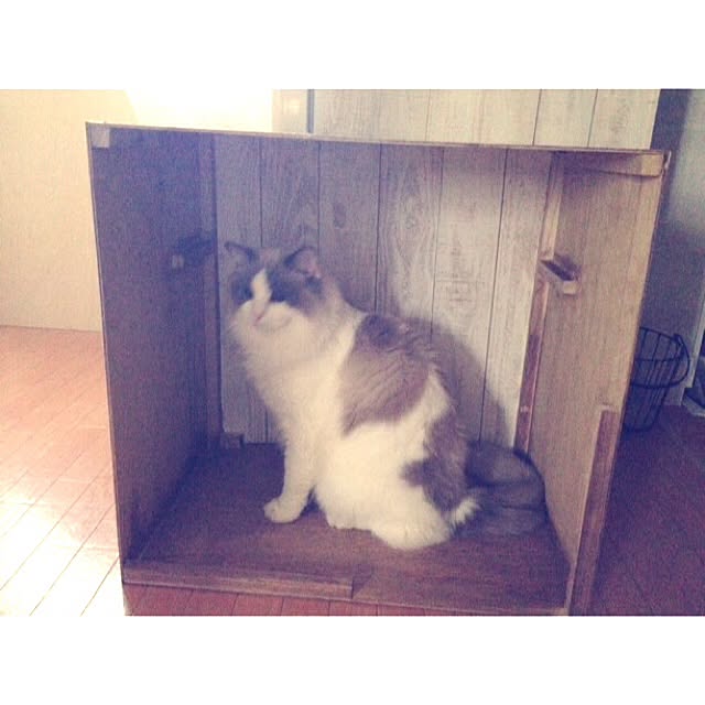 runtenさんの実例写真