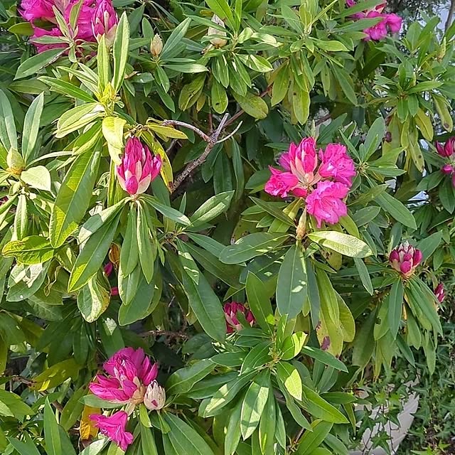 minnieさんの部屋