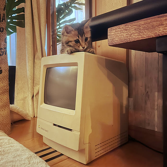 Mさんの部屋