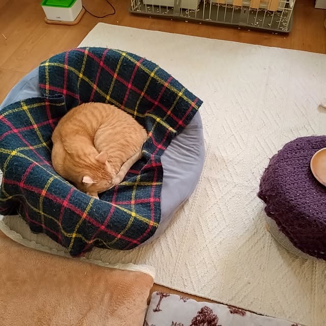 mayutan.さんの部屋