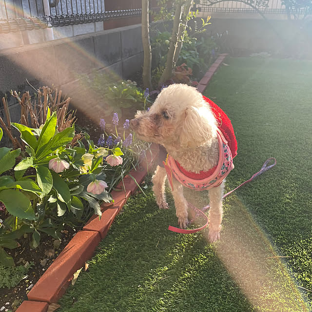 Junran50さんの部屋