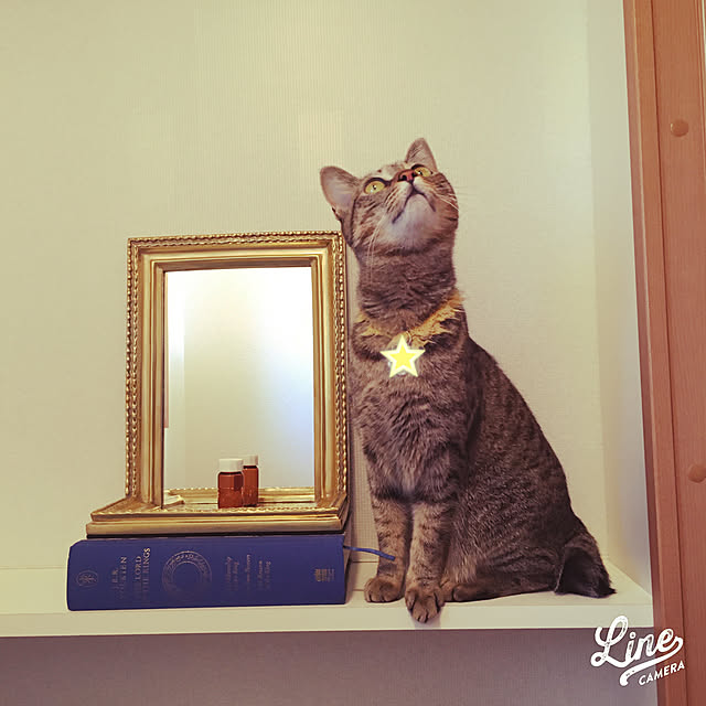 Mさんの実例写真