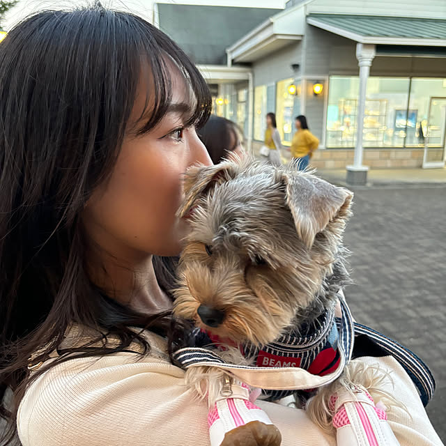 oceanさんの部屋