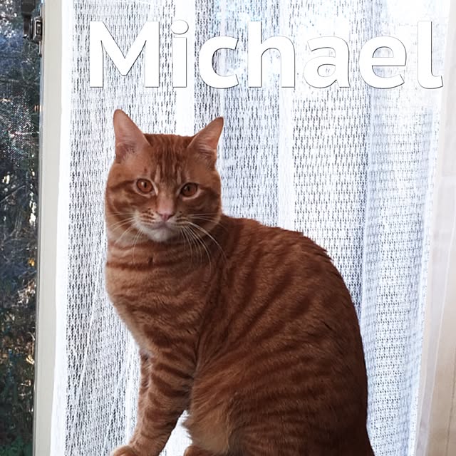 atushi13megu39さんの実例写真