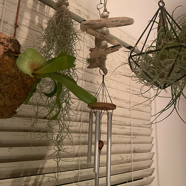 fgtomatoes0560さんの実例写真
