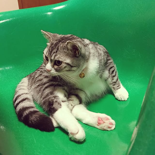 Shojiさんの実例写真