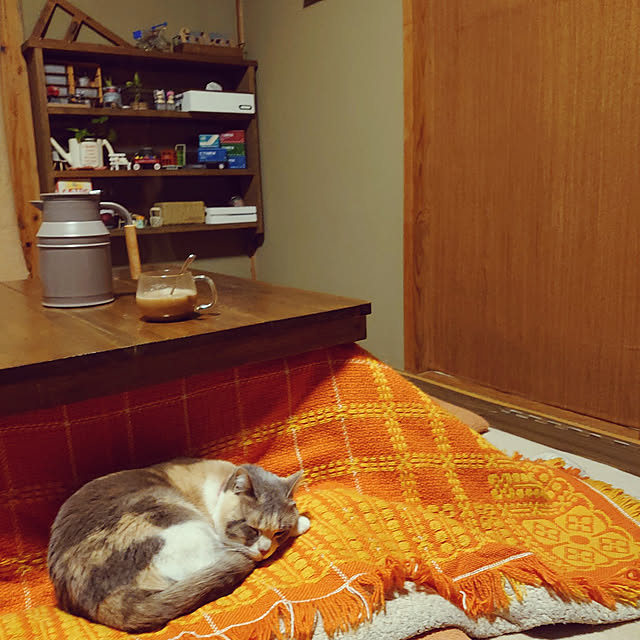 fukuさんの実例写真