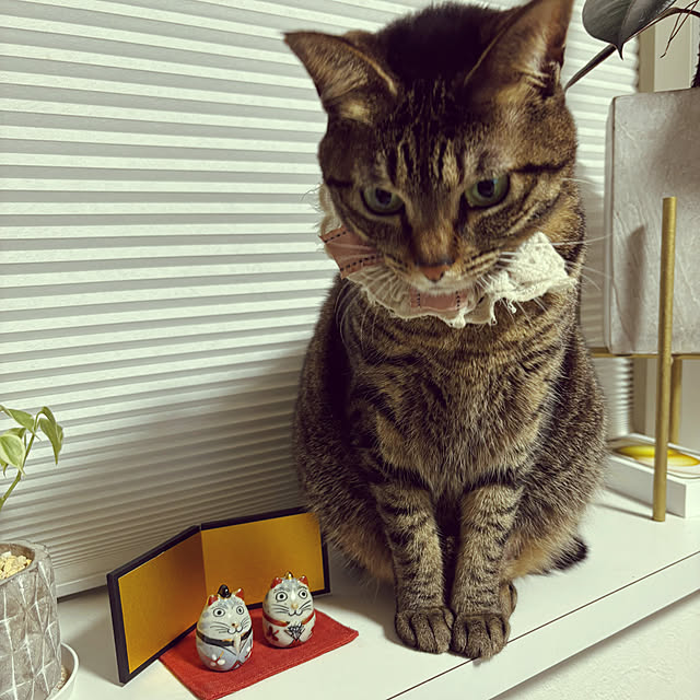 masamasaさんの部屋
