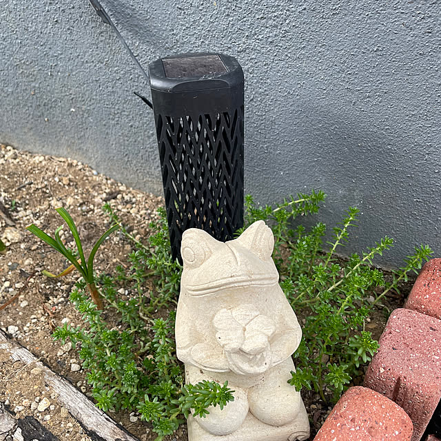 ayuchiさんの部屋