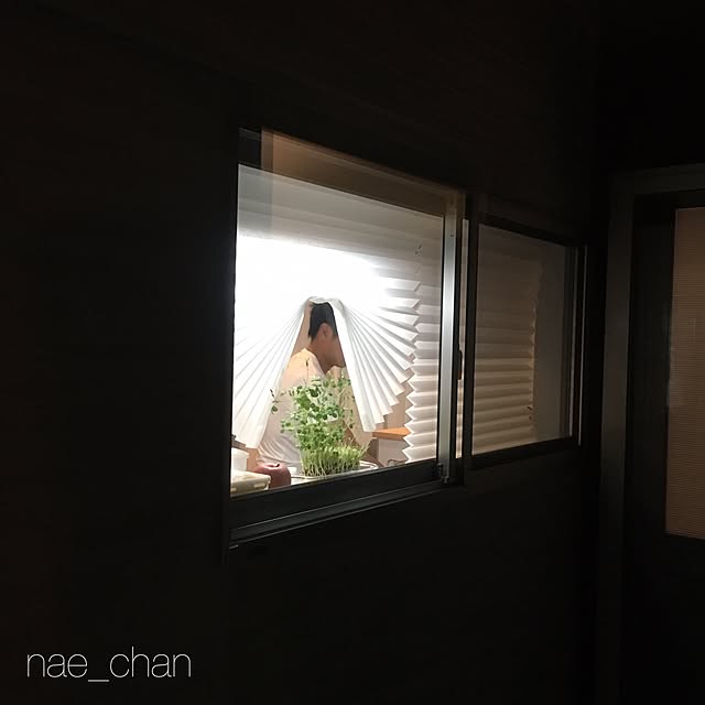nae_chanさんの実例写真