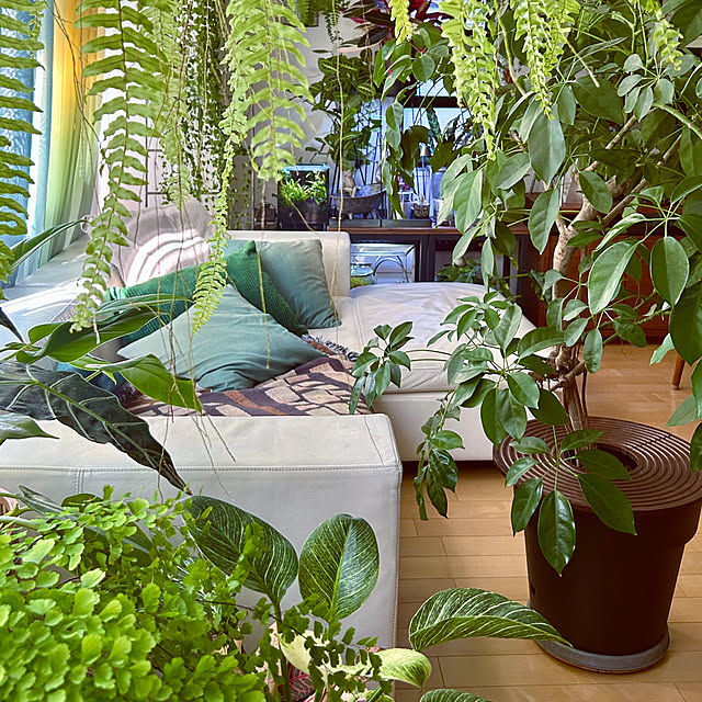 DAYONEさんの実例写真