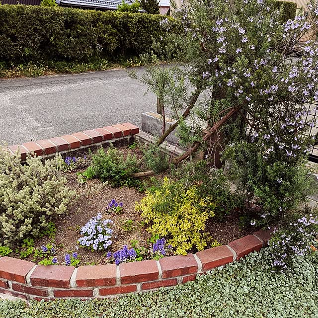 gin-chanさんの実例写真