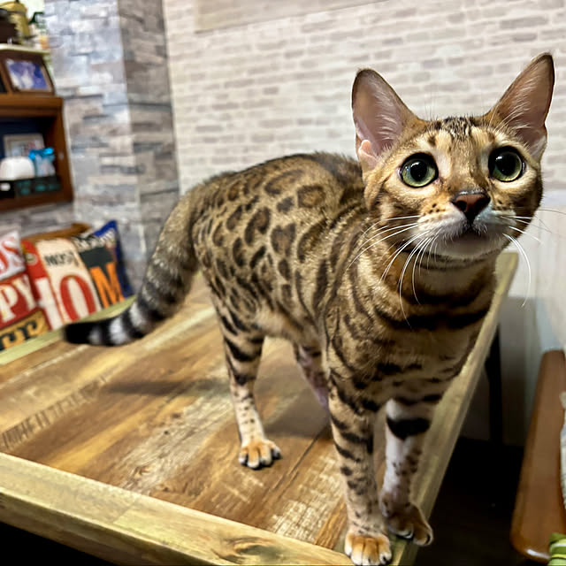 tututu0204さんの部屋