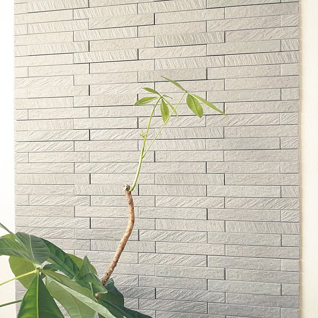 tan5さんの部屋