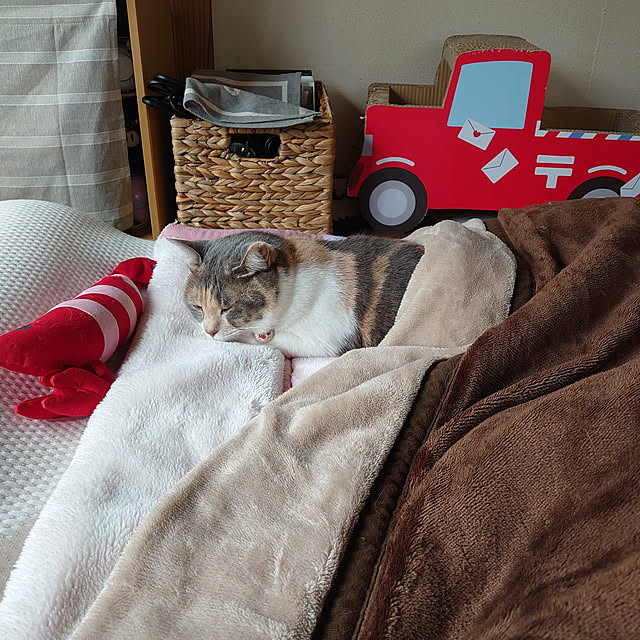 fukuさんの実例写真