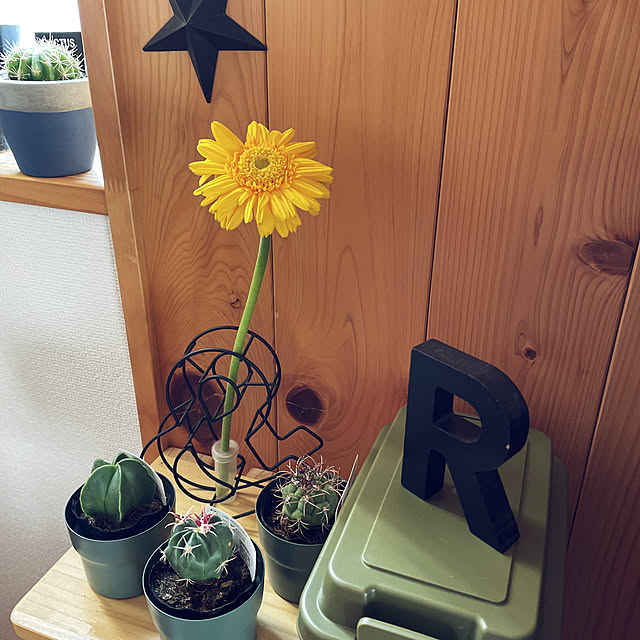 skhrさんの実例写真
