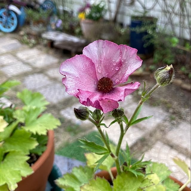 min_nimさんの実例写真