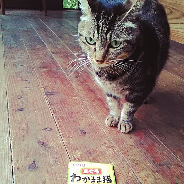 mairin318さんの実例写真