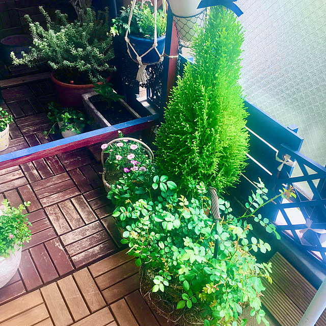naokoさんの部屋