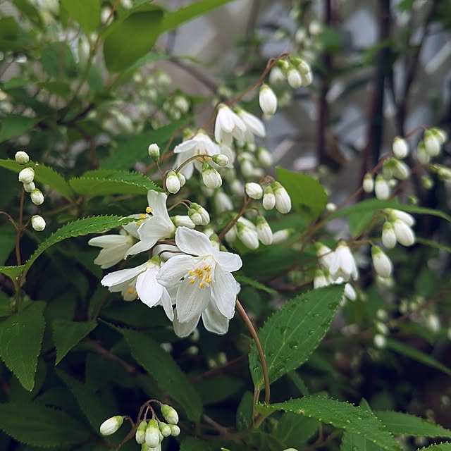 Bienvenueさんの部屋