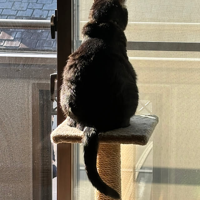 momocchiさんの部屋
