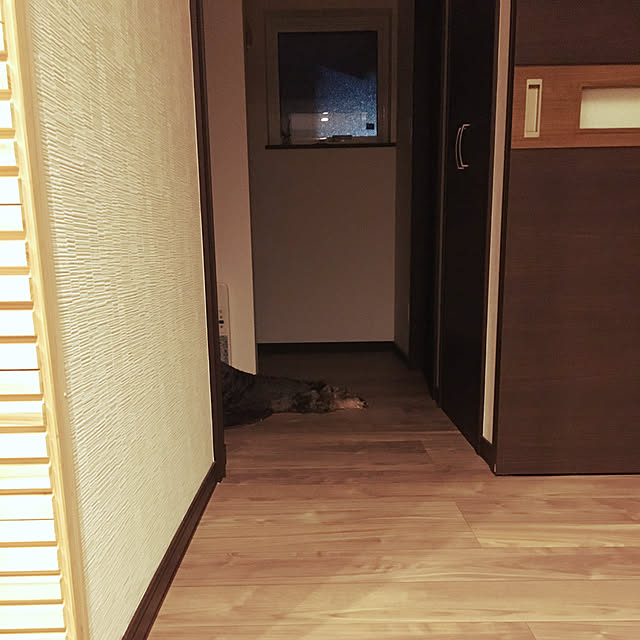 abuさんの実例写真