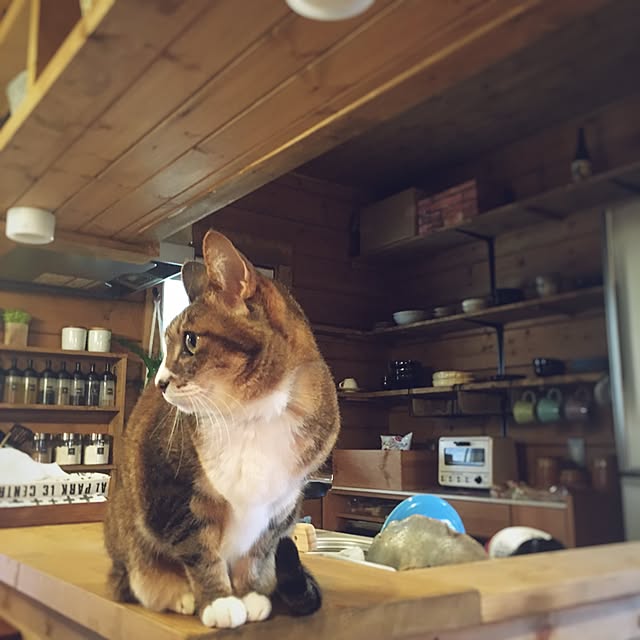 ryugenさんの実例写真