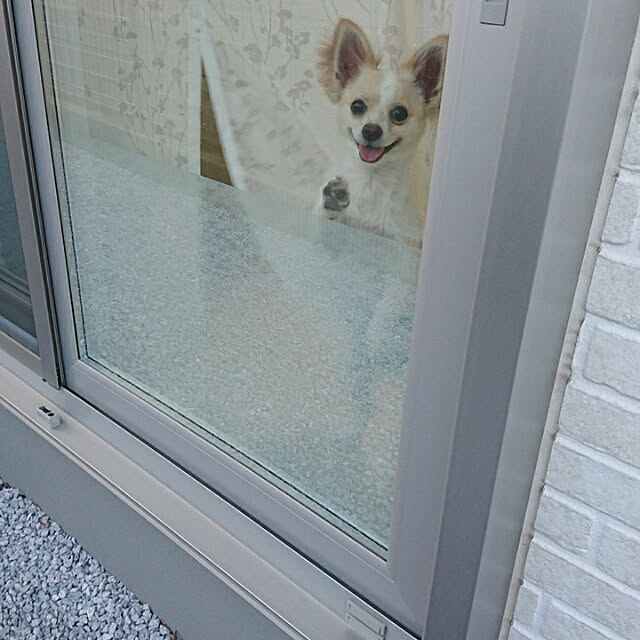 PAOさんの実例写真