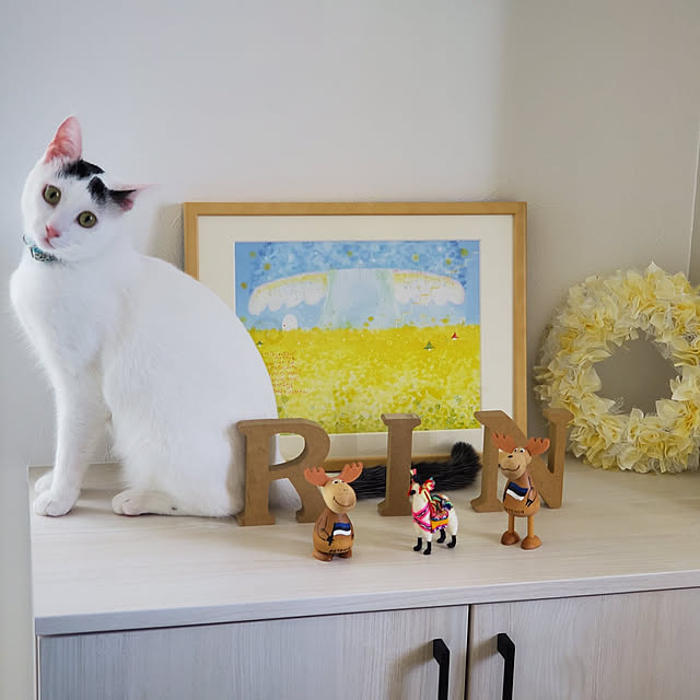 Rinさんの実例写真