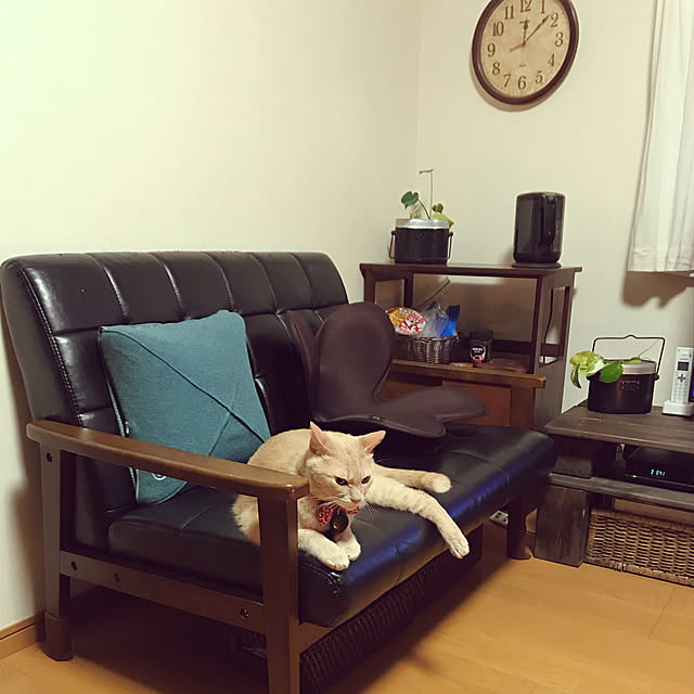 mikan161さんの実例写真