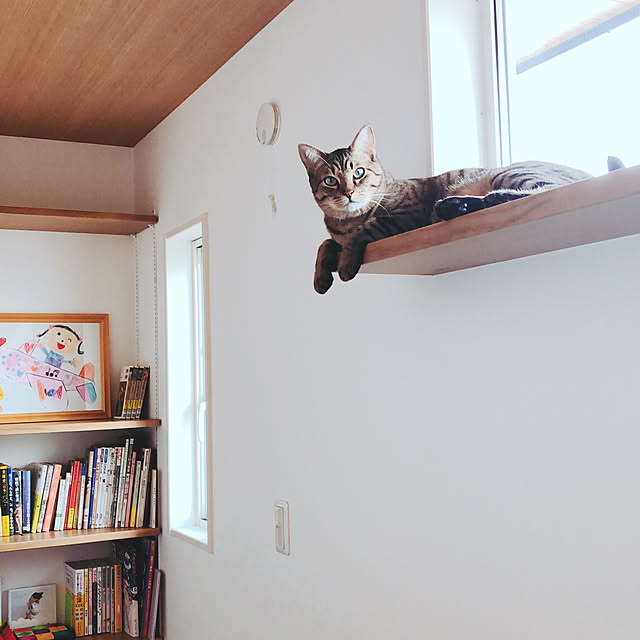 shion825さんの実例写真