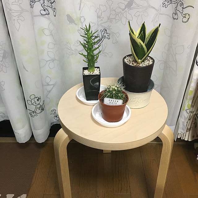 zoeさんの実例写真